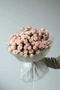 №377 - 21 кустовая роза №377 - 21 кустовая роза