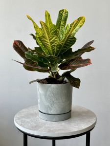 Горшок Тубо Эффект (d14.8 / h14.8) бетон Горшок Тубо Эффект (d14.8 / h14.8) бетон