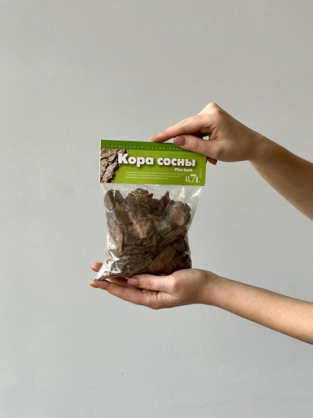 Кора сосны Кора сосны