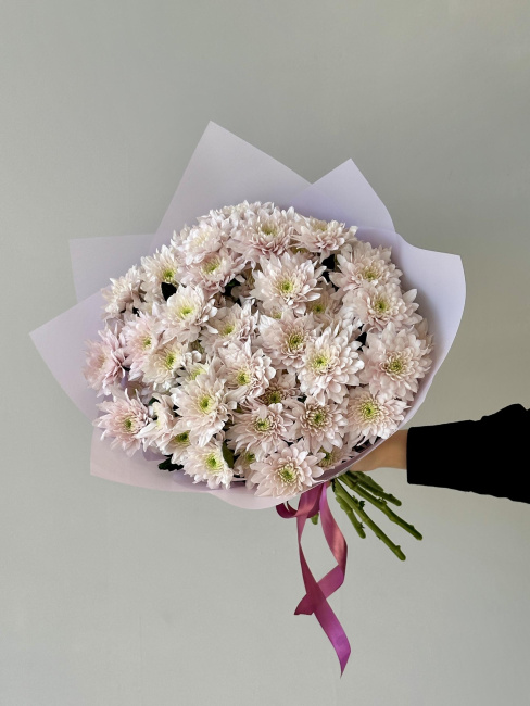 №287 - 9 кустовых хризантем