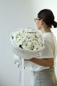 Моно из 21 сантини (комплект) Моно из 21 сантини (комплект)